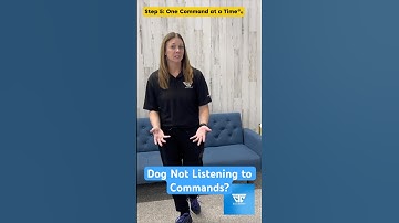 Dog Not Listening to Commands? Here’s Why You’re Confusing Your Dog (+ The ONE Command Rule)
