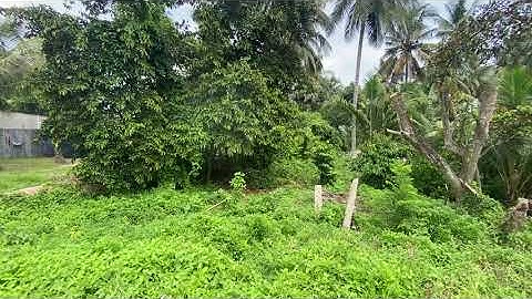 Tập 38 Đã bán Đất nền quốc lộ 91 dt12x60 tại xã An Phú huyện tịnh biên an Giang lh0939444010