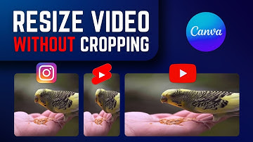 How To Resize Videos & Images without Cropping in Canva | True Stretching & Change Video/Image Size