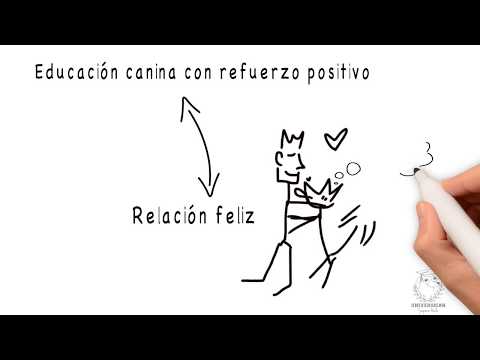 ¿Qué es la educación canina con refuerzo positivo?