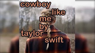 cowboy like me by taylor swift (lyrics)