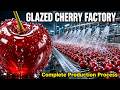 How Glazed Cherries Are Made : Amazing Food Manufacturing Process