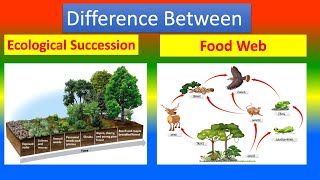 Contrast Between Ecological Succession and  Food Web screenshot 5