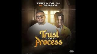 Tebza De DJ & Tanaka - Trust the Process