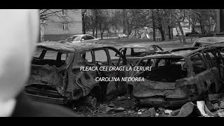 Pleaca cei dragi la ceruri - Carolina Nedorea