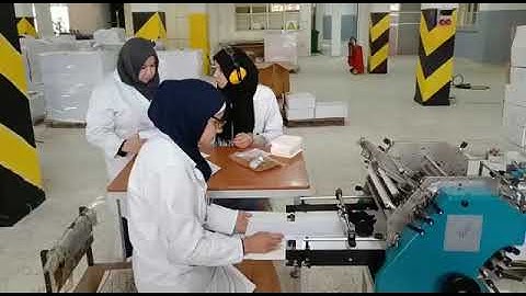 Pratham Paper Folding Machine for Pharmaceutical Insert with vision System and Ejector