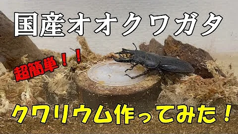 くわリウムの作り方