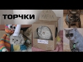 Тайная жизнь кота-блогера | коты - торчки | серия 5