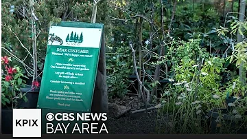 North Bay nursery in jeopardy as owner is forced to sell