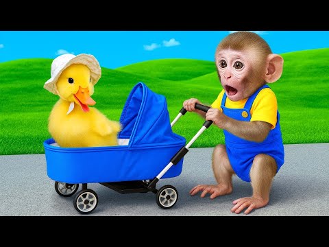 الليلة الأولى ليالي الامتحان الأخيرة ثالثة ثانوي ٢٠٢٥ مع أ محمد صلاح