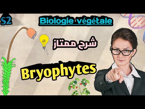 Vidéo: Différence Entre Les Bryophytes Et Les Trachéophytes