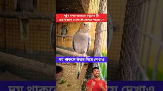 পুটুর বাচ্চা আজকে বন্ধুদের কি প্রশ্ন করল দেখো 😱 তোমরা কি পারবে ?? #comedy #viralshort #funny #viral