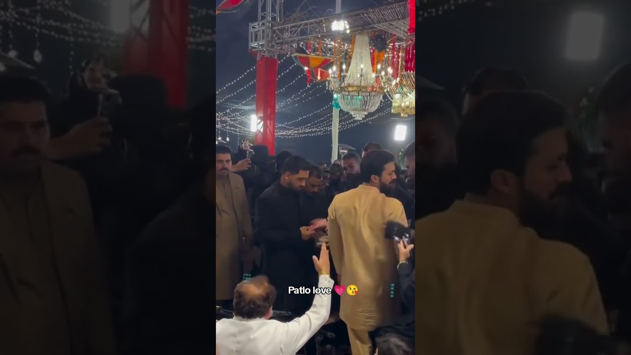 Money flying mr patlo 