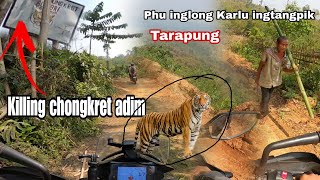 Hem Kachewang ahut Tovar Arai Along  Killing chongkret Adim thek lok 😰 Tarapung Road TEKE 🐯