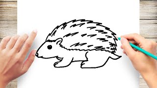 How to draw a Hedgehog for kids | Hedgehog Drawing Lesson How to draw a Hedgehog for kids | Hedgehog Drawing Lesson