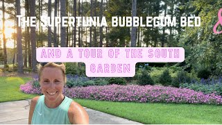 Bubblegum Bed Update & A Look At My South-Facing Beds! / Zone 9 Gardening /My Southern Garden