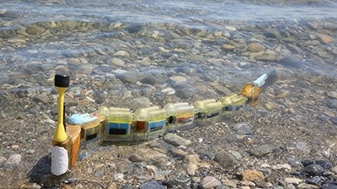 Pinpointing sources of water pollution with a robotic eel