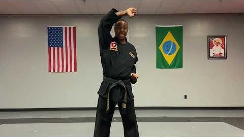 Blocking Techniques - High Block - White Belt Curriculum