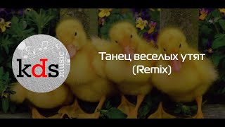 Танец Маленьких Утят (Remix) - Игра На Синтезаторе Yamaha Psr-Sx700