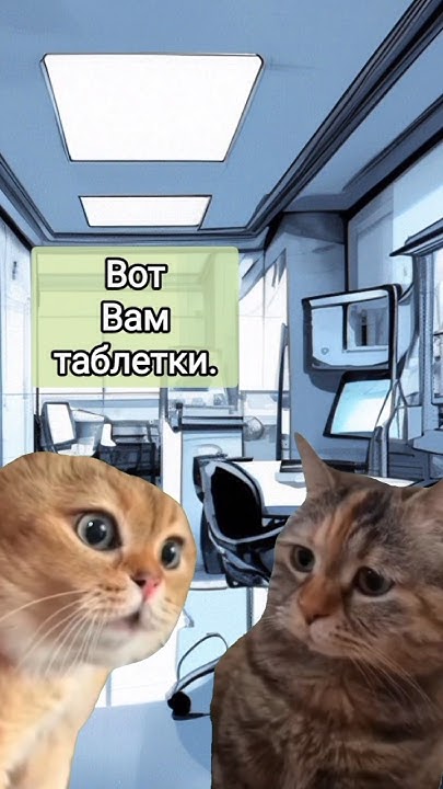 Таблетки #мем #мемы #мемныекоты #котыговорят #говорящиекоты #животные # ...