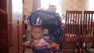 Мы везем с собой кота Мы везем с собой кота
