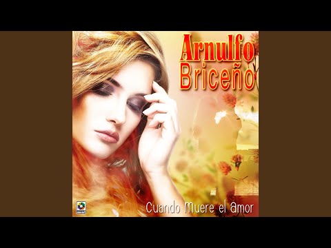Tu Amor Mi