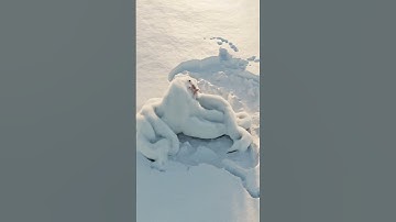 Snow octopus :) #blender #blender3d #3danimation #3dartist #satisfying ##simulation #dynamicpaint