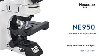 【Nexcope】NE950 upright motorized research microscope