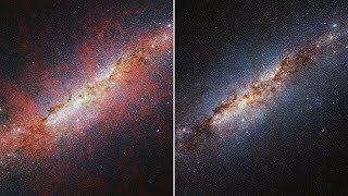 Webb's views of M82 (transition video)