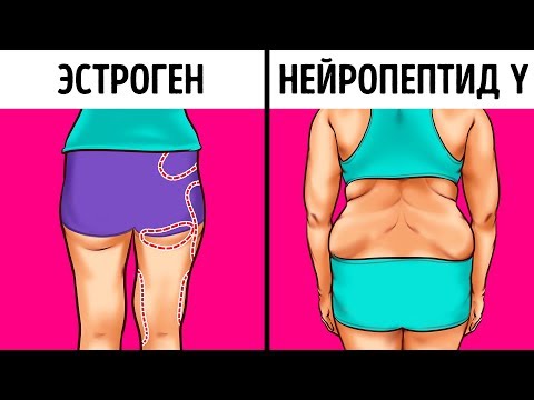 Как Перехитрить Гормоны, Отвечающие за Набор Веса