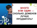 Стоит продвигать сразу много доменов или один?