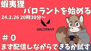 【VALORANT】遊べる環境か検証する配信【同期がきてくれるかも】