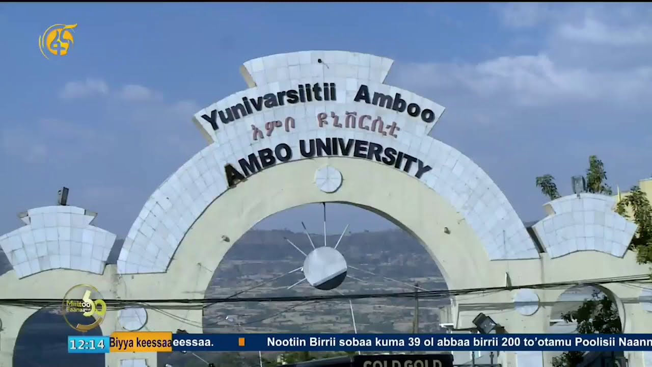 Qophii Yuunvarsitii Amboo simannaa barattootaaf
