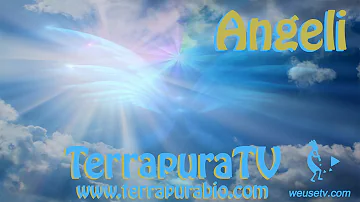 Come si chiama quel cerchio degli angeli?