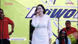 SEMAKIN SAYANG SEMAKIN KEJAM   SELLY PRAWOTO - CAMELIA - ROWO INDAH - HUT RI KE 78  TUBANAN SEKUPING