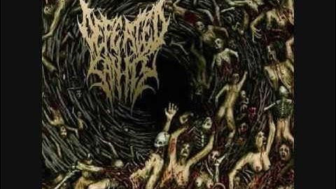 Defeated Sanity - Psalms Of The Moribund