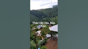 Thác cây cau_ Bảo Lộc