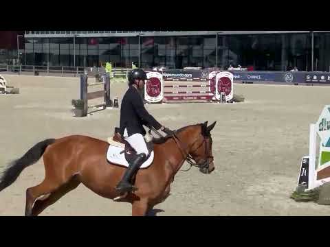 Sunshine JW van de Moerhoeve CSIYH 7/8 yo Opglabbeek D2