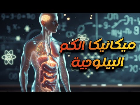 عجائب ميكانيكا الكم البيلوجية الجزء الثاني