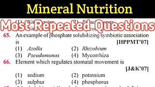 mineral nutrition mcq for neet || nitrogen metabolism || Biology most Repeated Questions (8)