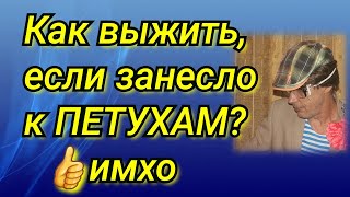 Что делать, если попал к обиженным / Обиженный рассказывает о себе