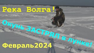 ОКУНЬ ЗАСТРЯЛ В ЛУНКЕ! Волга. Балансир.