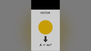 Clip Studio Paint - Using vector layers in your line art #csp