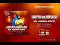 Djonny pro feat ronny blasky nza abelema andete audio officiel