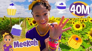 Meekah Picks Blueberries | Educational Videos for Kids | Blippi and Meekah Kids TV