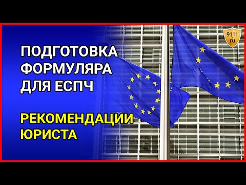 Как составляется жалоба в европейский суд по правам человека. Формуляр жалобы в ЕСПЧ.  Советы юриста