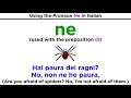 The Pronoun Ne in Italian