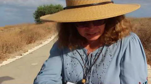 Survey Ann Killebrew