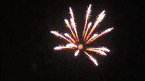 Crackling Palm Tree Firework Shell