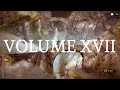 Vol. 17 – Relaxing Video Game Music for 3 Hours